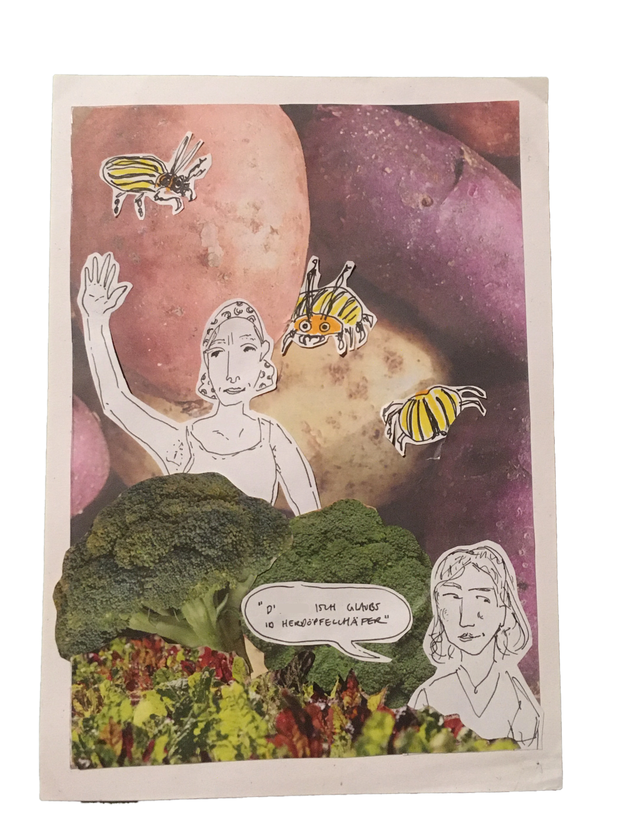 Herdöpfelchäfer (2025), Collage, 14.8x21cm